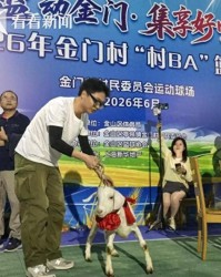 九游娱乐登录入口-沪郊亭林镇“村BA”赛开打 冠军奖励一头羊|企业职工|返乡|集市|糖人|活动_新浪新闻